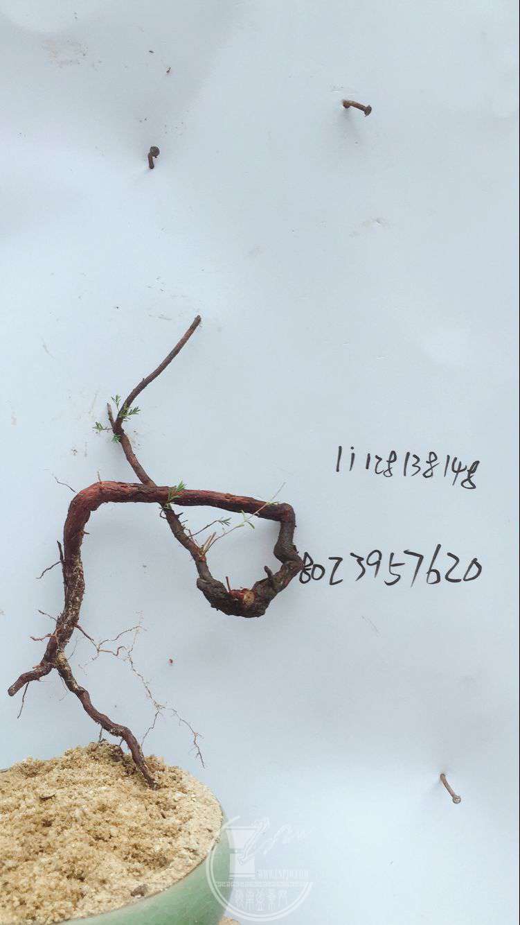 QQͼƬ20180314085731.jpg