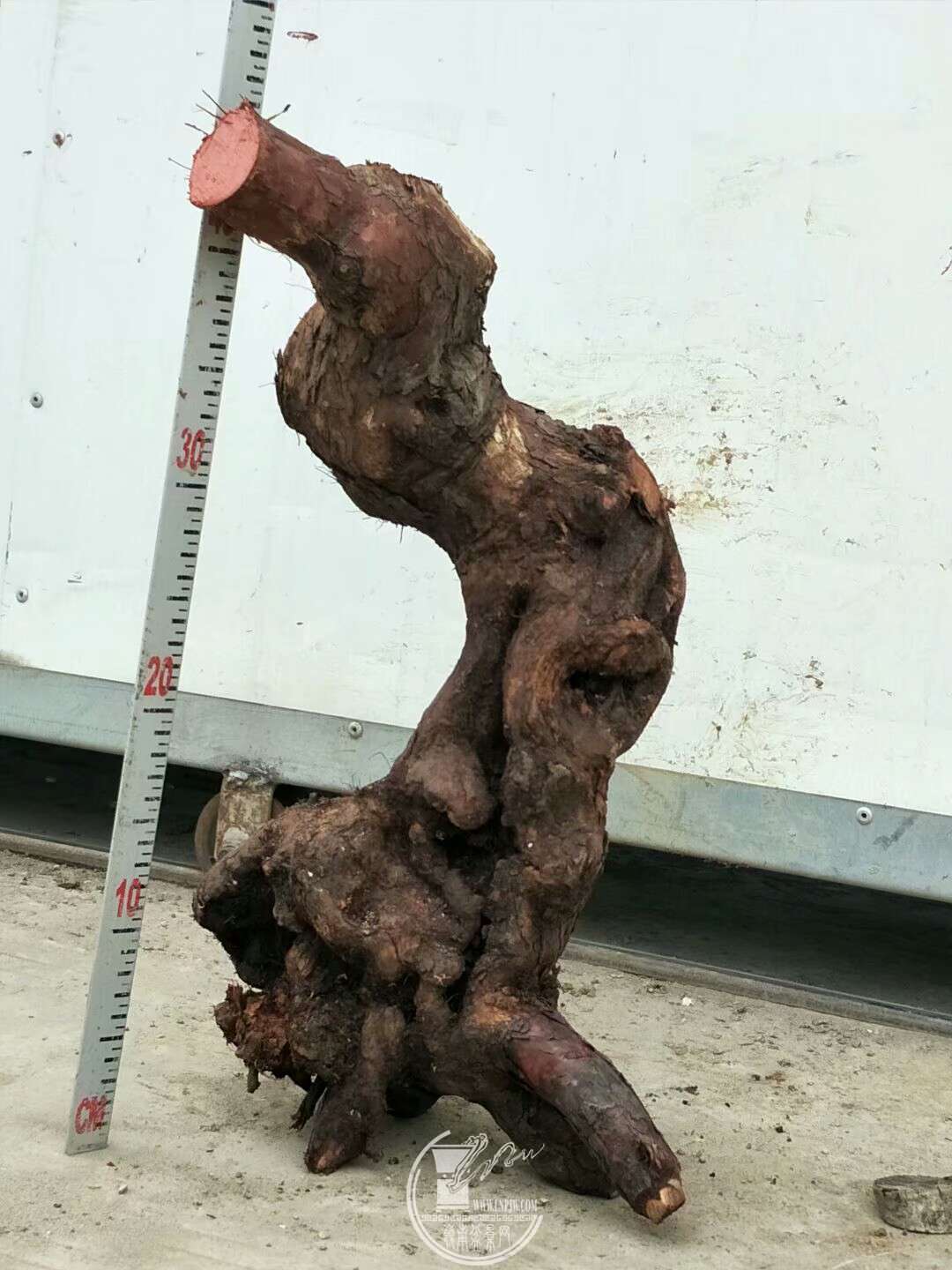 1521080461346.jpeg