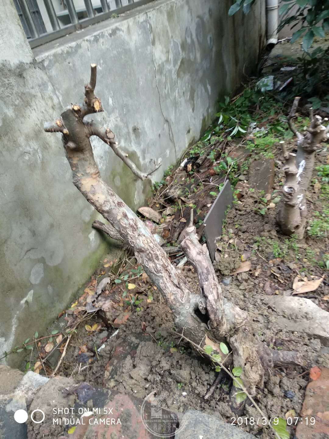 ΢ͼƬ_20180315220446.jpg
