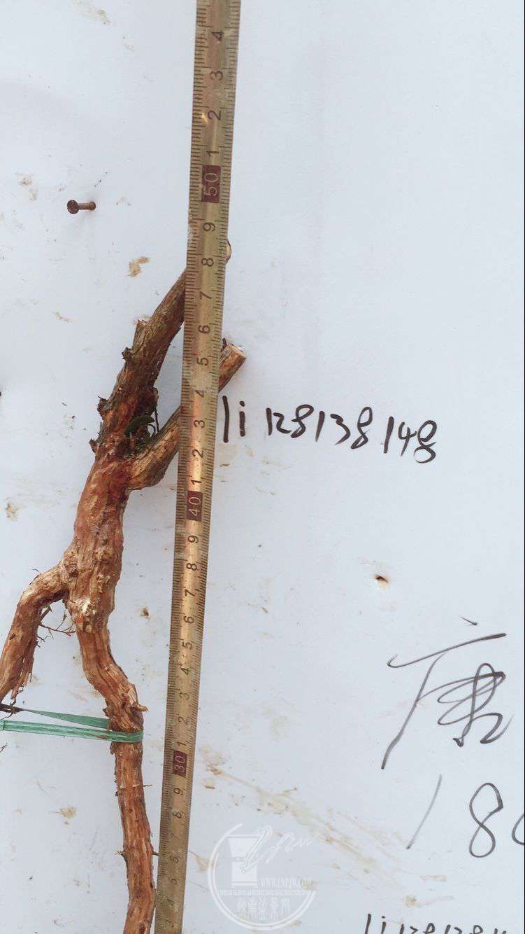 QQͼƬ20180317140843.jpg