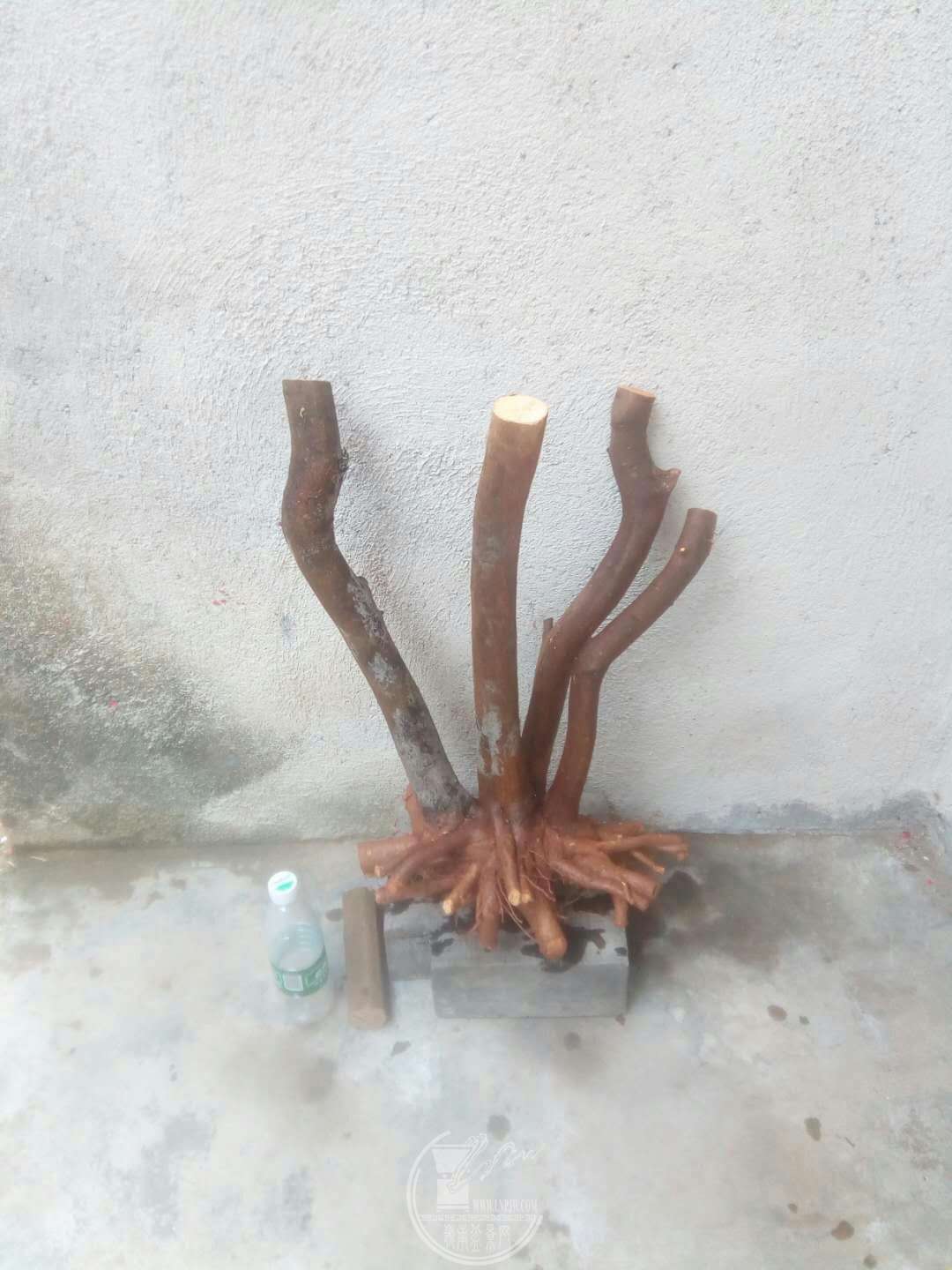 mmexport1521362120901.jpg