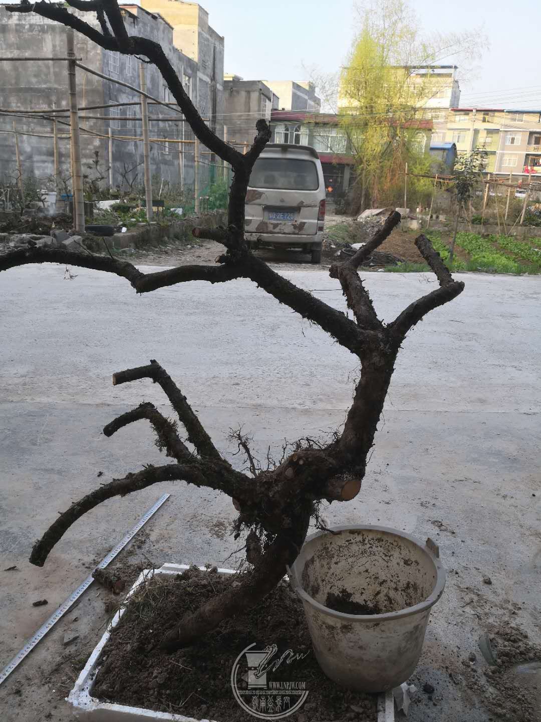 73.jpg