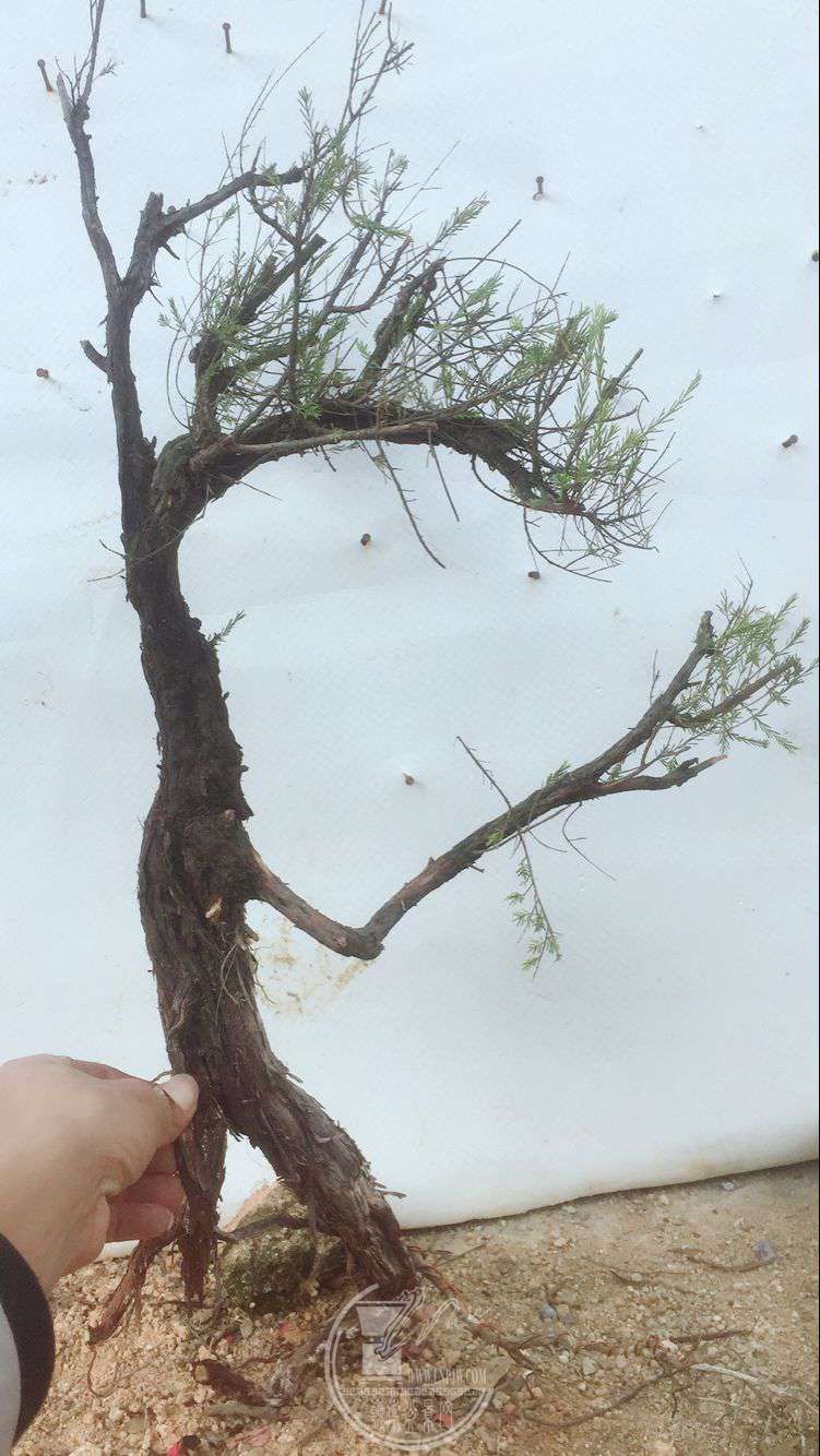 QQͼƬ20180322204706.jpg