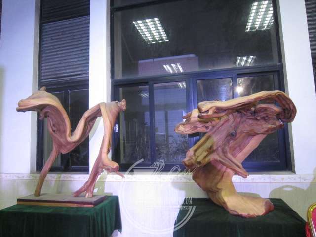 IMG_8735.JPG