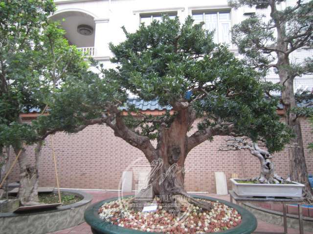 IMG_8724.JPG
