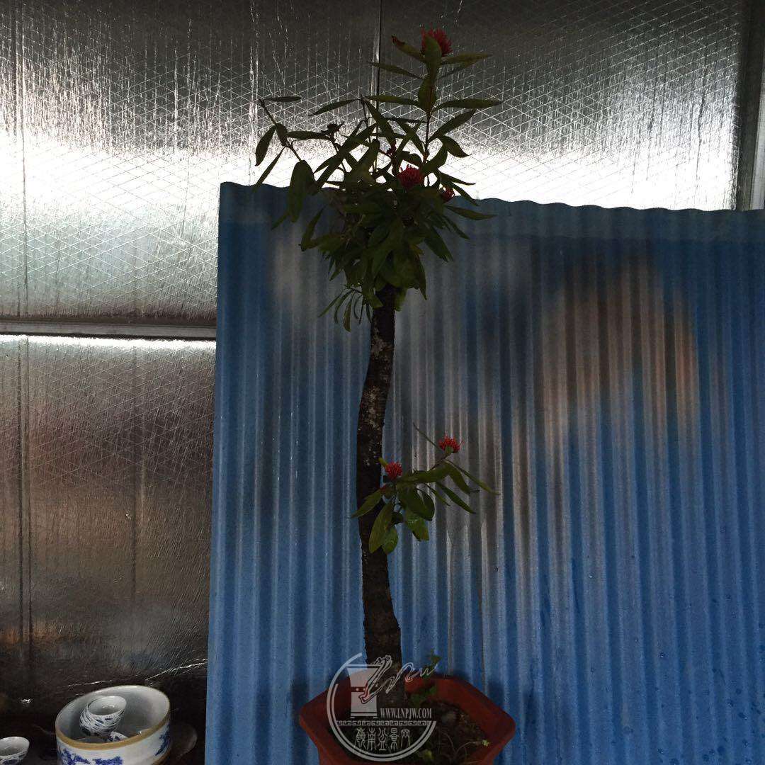 ΢ͼƬ_20180325195426.jpg
