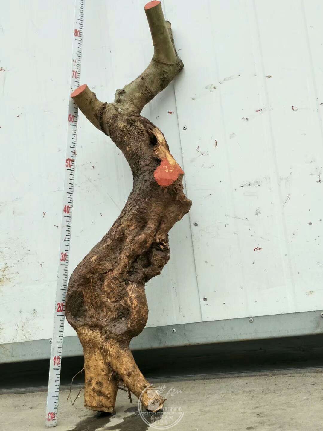 1522040241870.jpeg