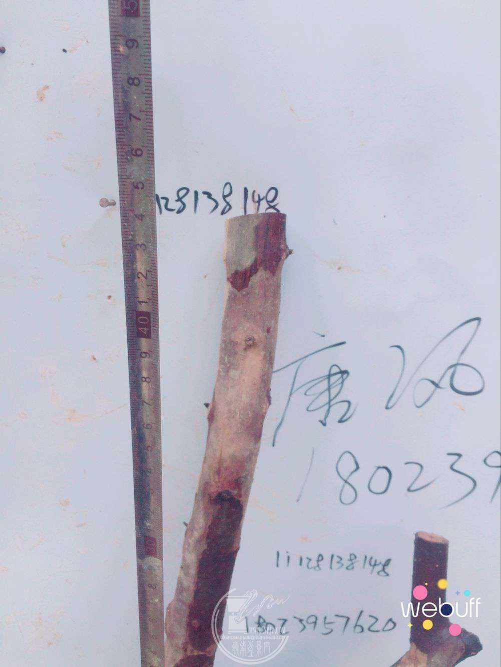 QQͼƬ20180326201740.jpg
