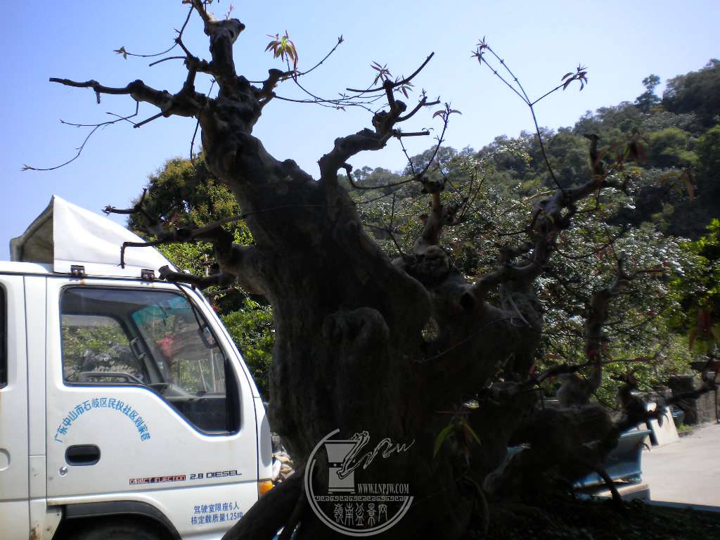 DSCN8912.JPG