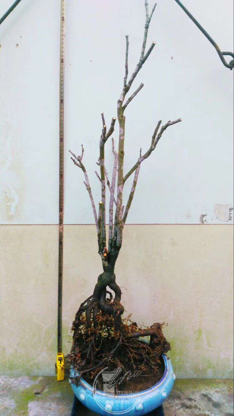 QQͼƬ20180328234159.jpg