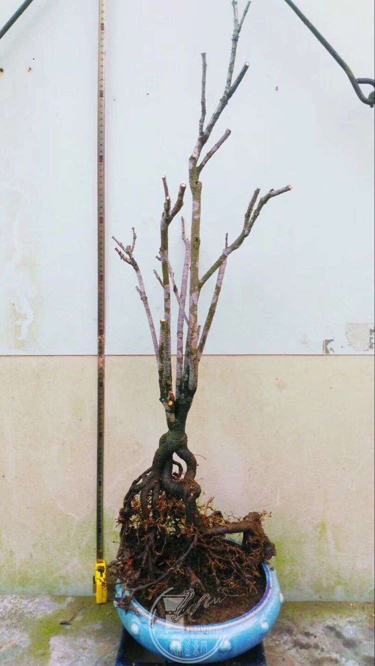 QQͼƬ20180328234202.jpg