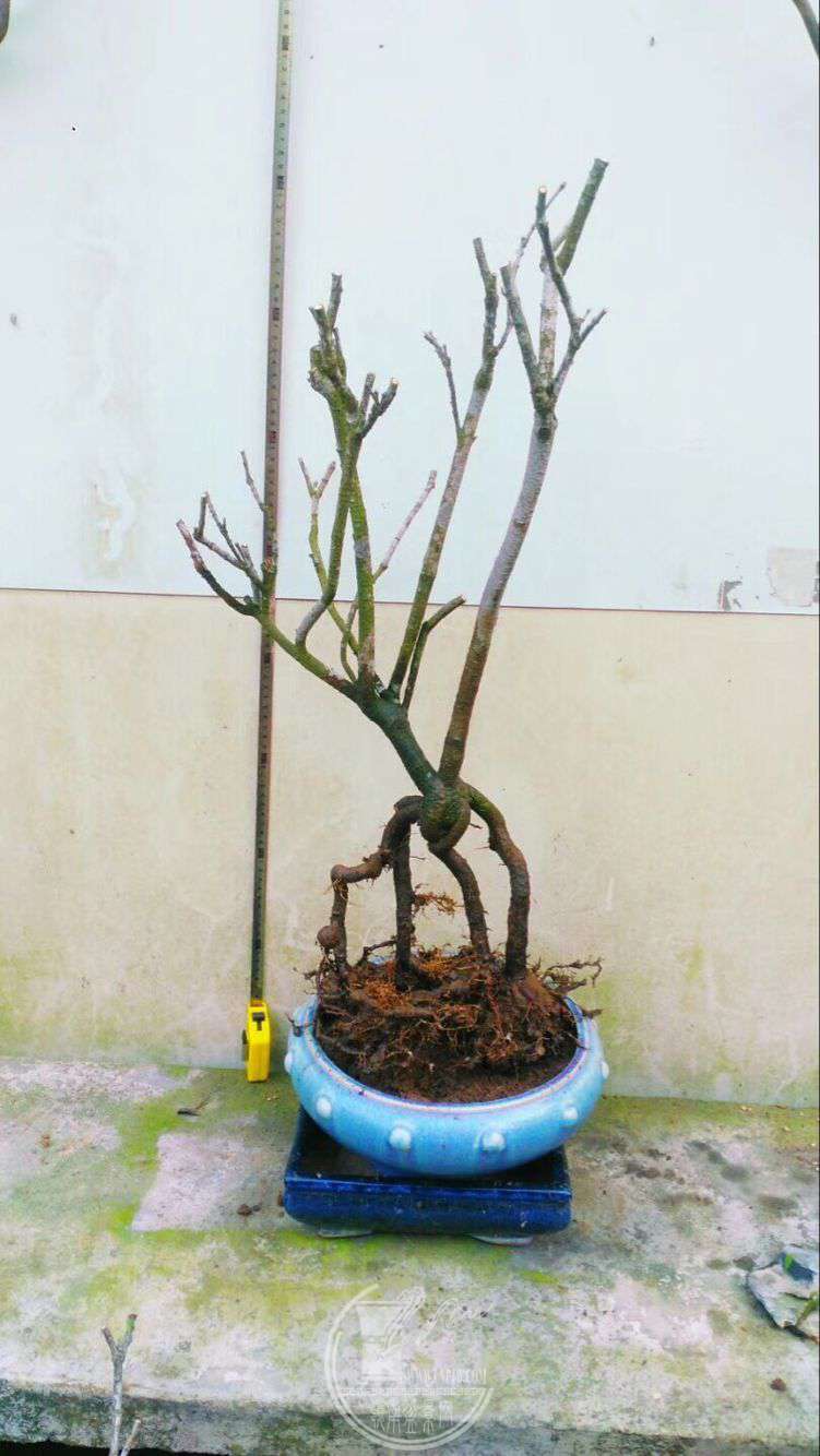 QQͼƬ20180328234225.jpg