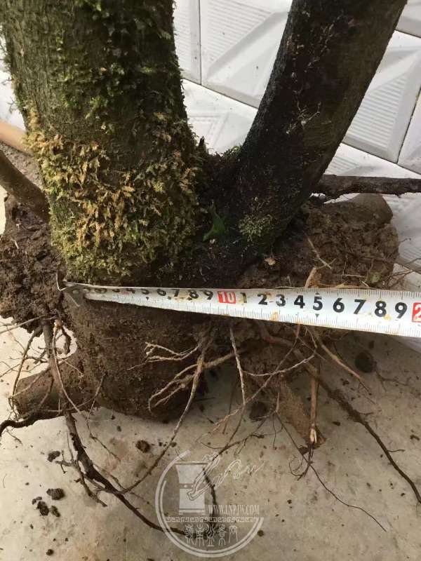 932143
