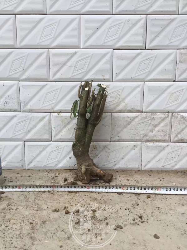 932187
