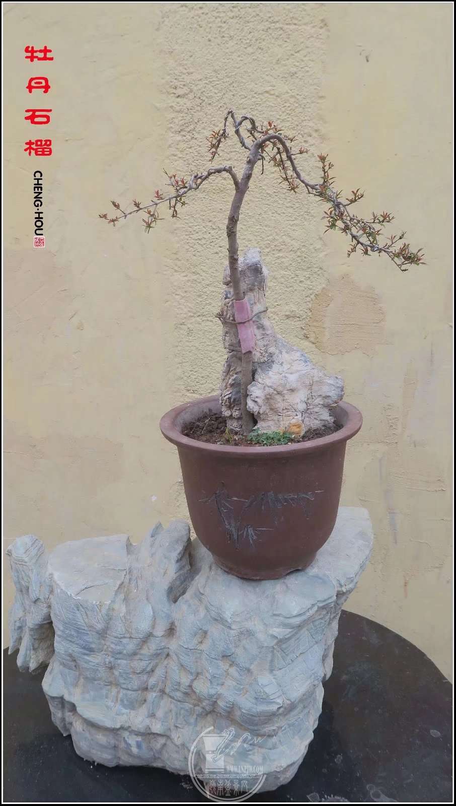 ĵʯ.jpg
