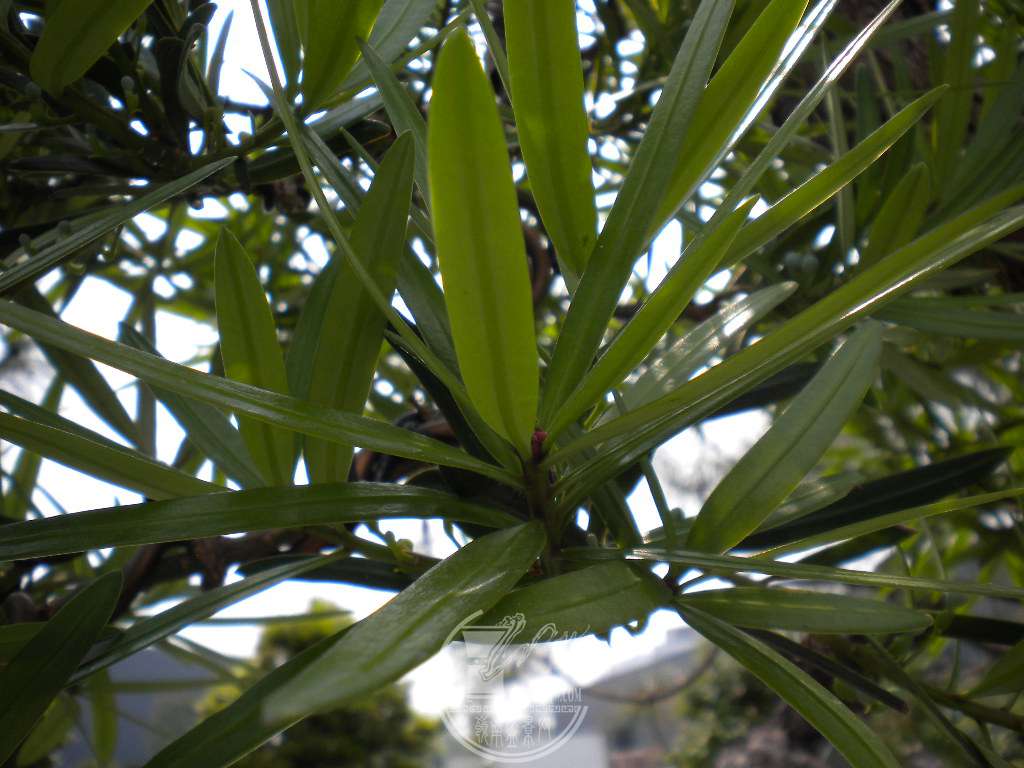 DSCN8969.JPG