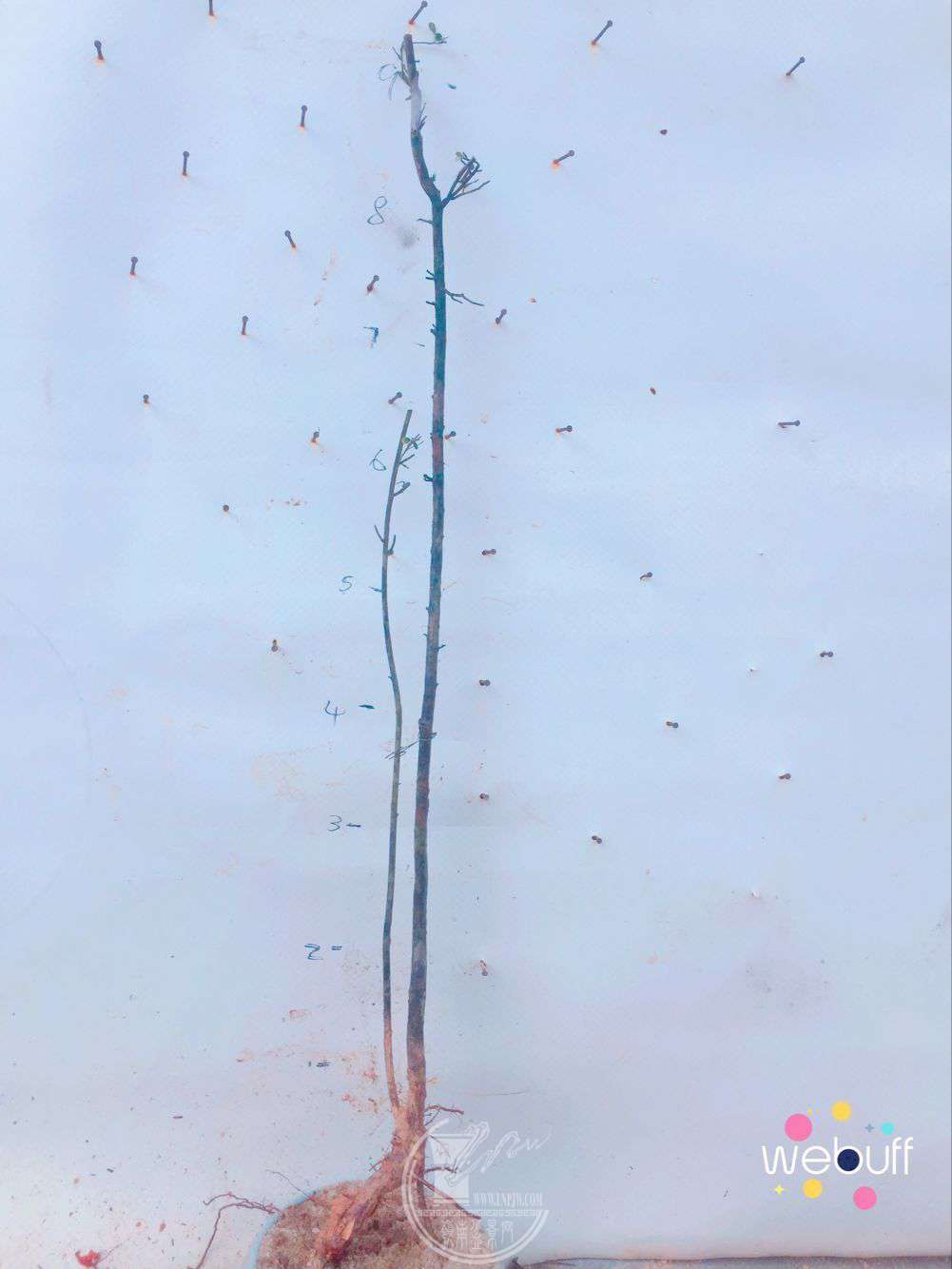 QQͼƬ20180331100148.jpg