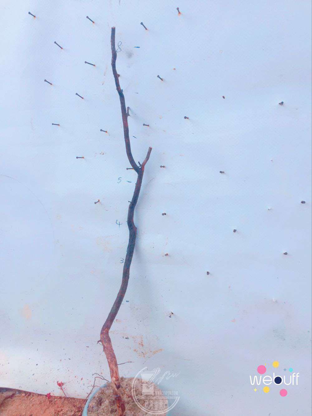 QQͼƬ20180331100506.jpg