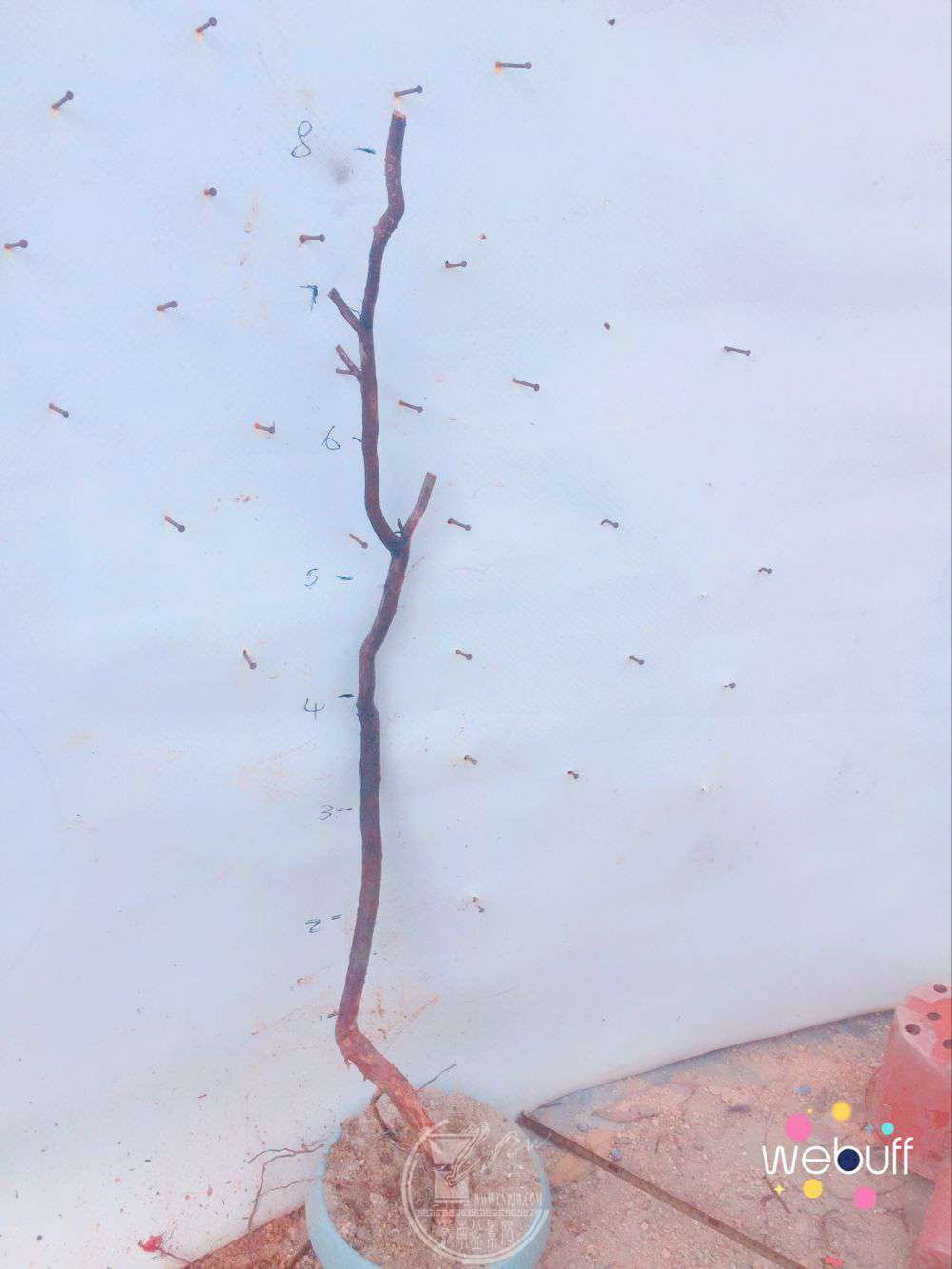 QQͼƬ20180331100516.jpg