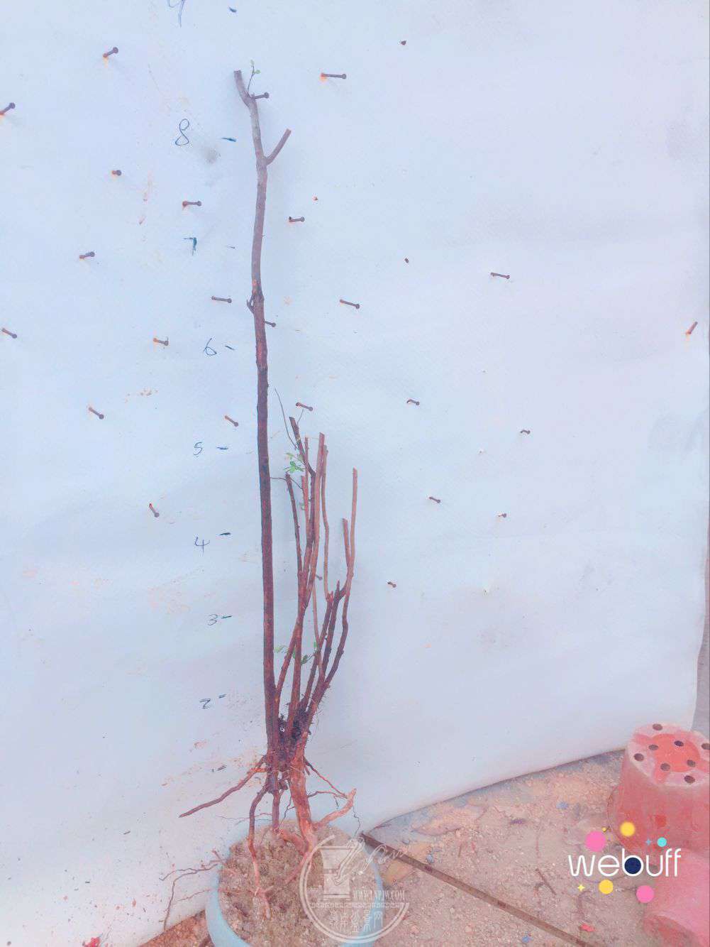 QQͼƬ20180331100652.jpg