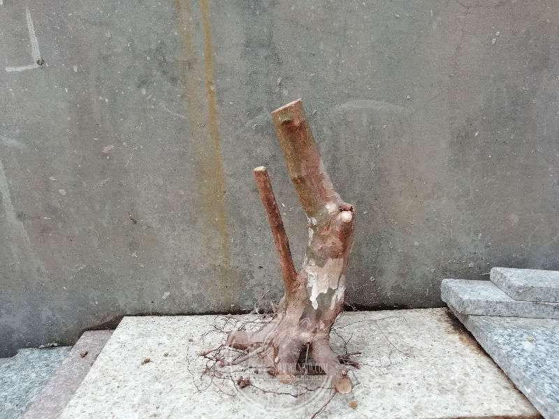 932791
