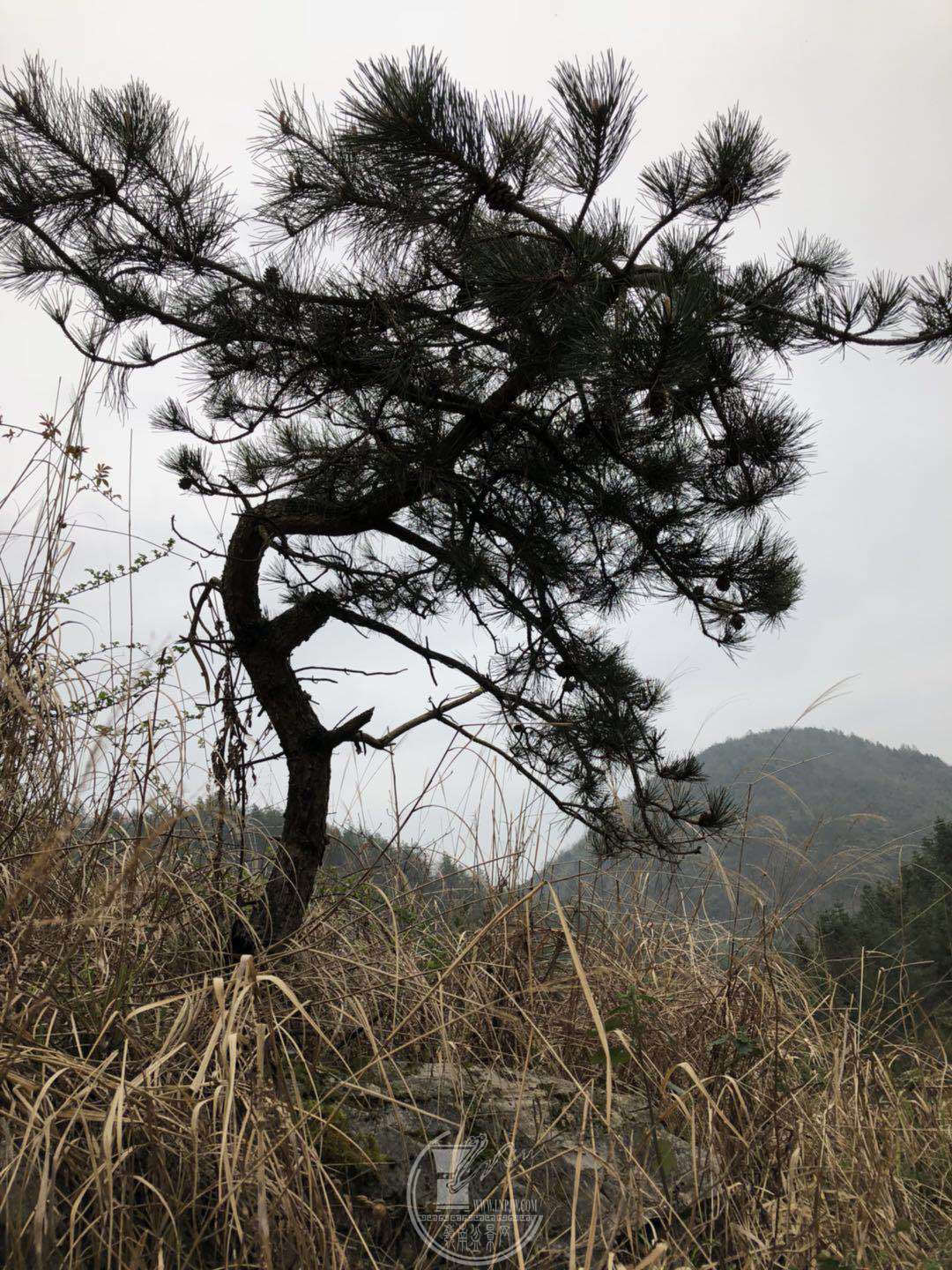 92279237-36F2-4474-82F5-56737B086C6E.jpeg