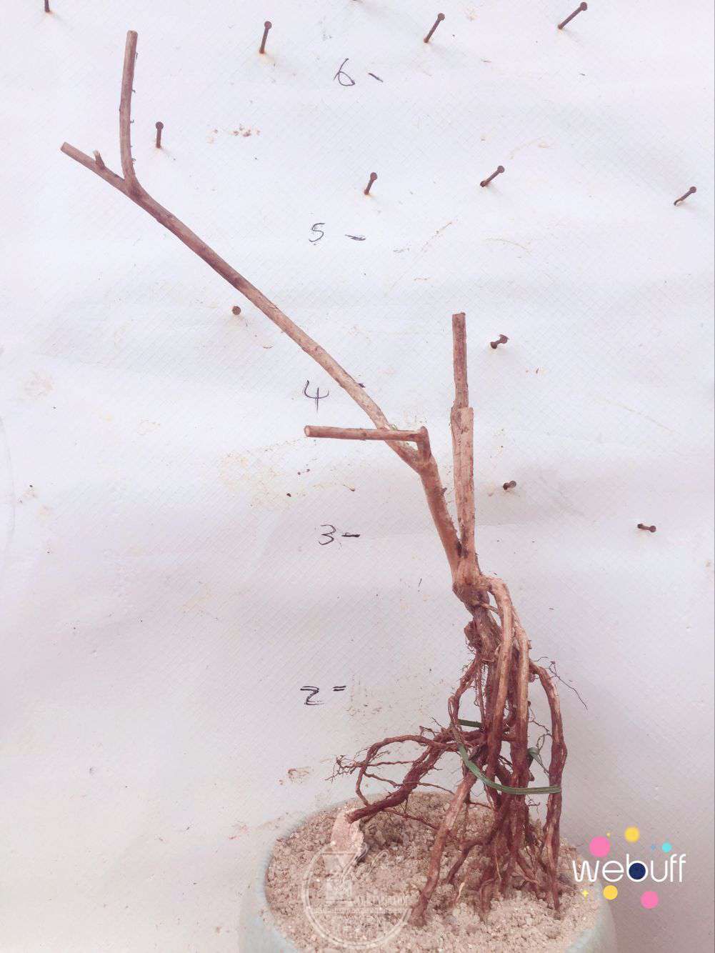 QQͼƬ20180402090003.jpg