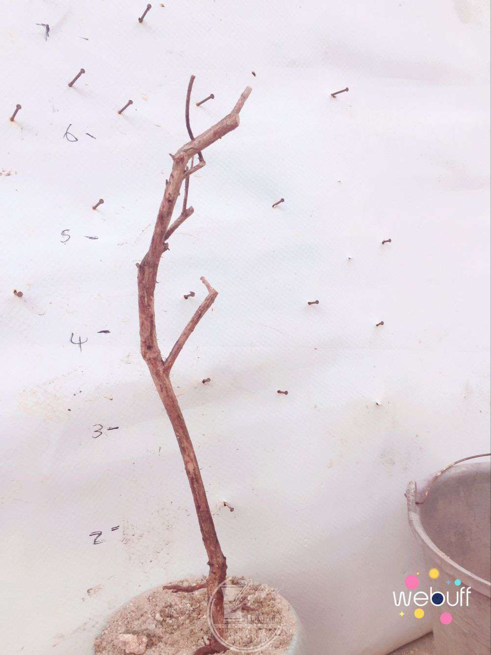 QQͼƬ20180402090309.jpg