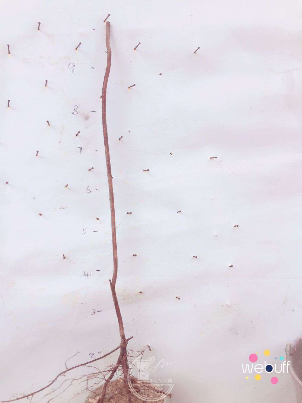 QQͼƬ20180402091208.jpg