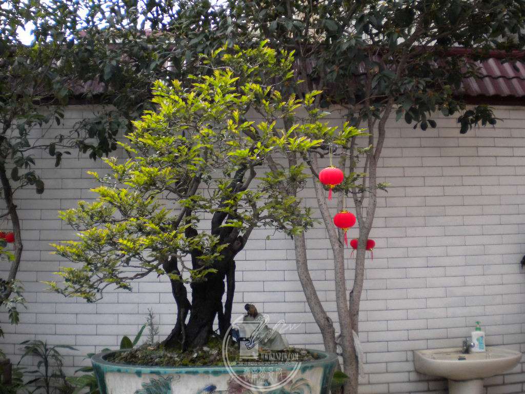 DSCN8983.JPG