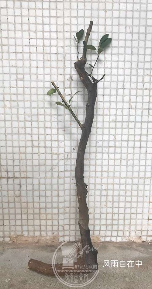 ΢ͼƬ_201804071044201.jpg