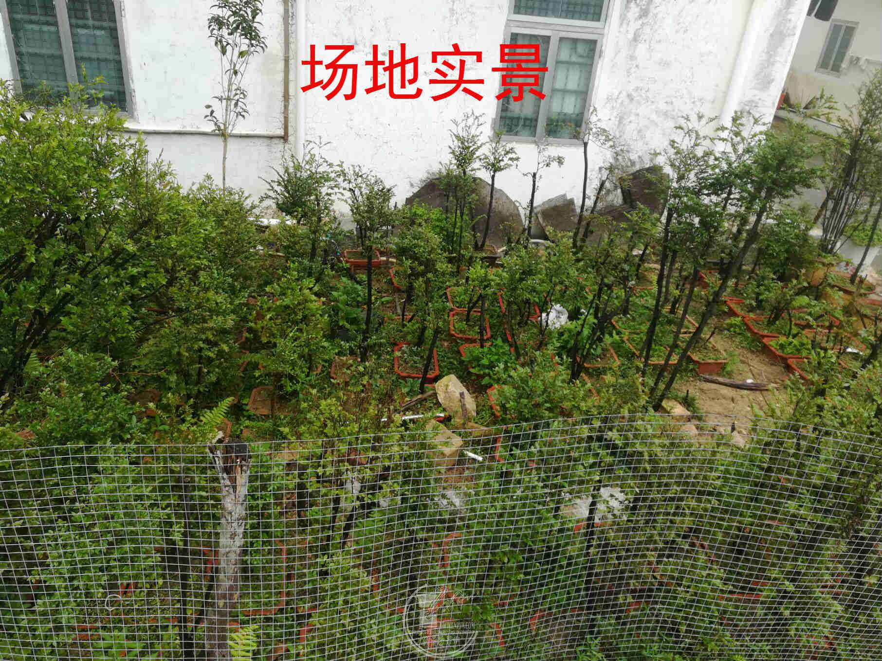 QQͼƬ20180407112350.jpg