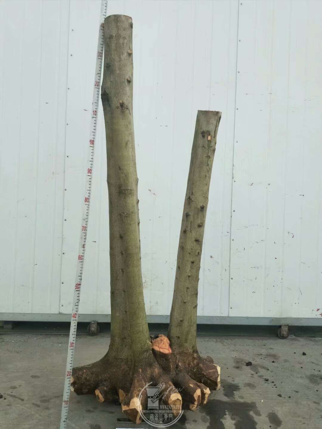 1523092454128.jpeg
