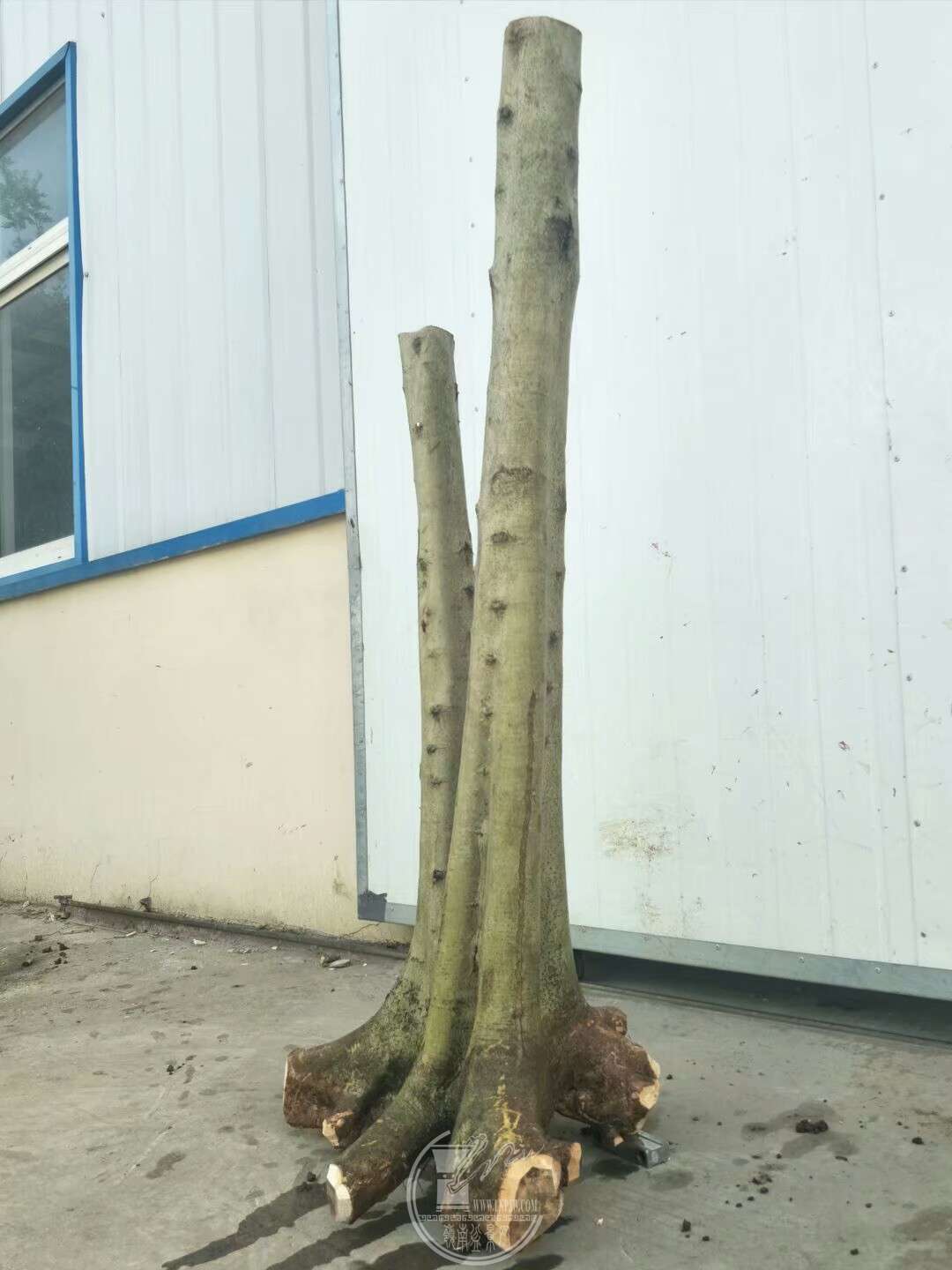 1523092451255.jpeg