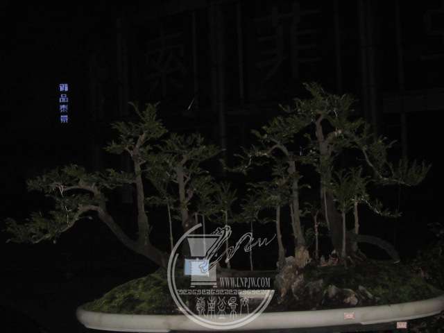 IMG_8707.JPG