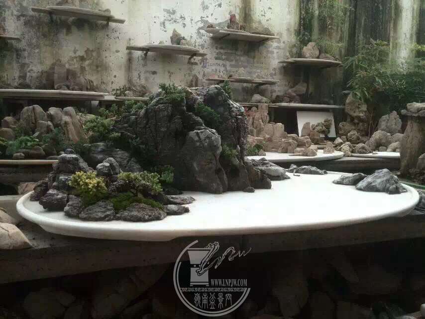 606511363859035366.jpg