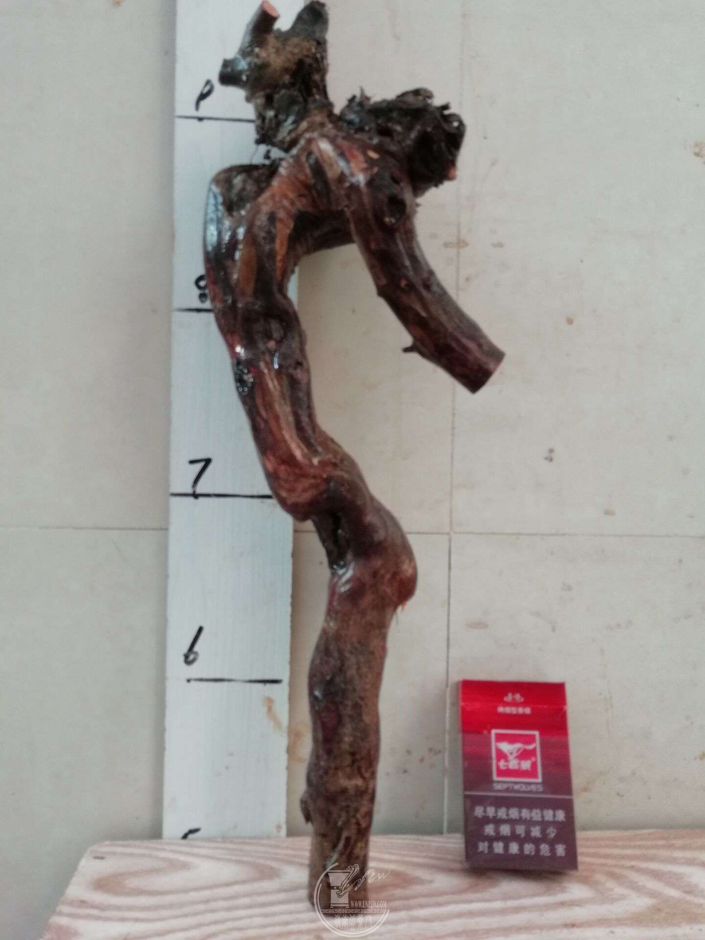 QQͼƬ20180409203724.jpg