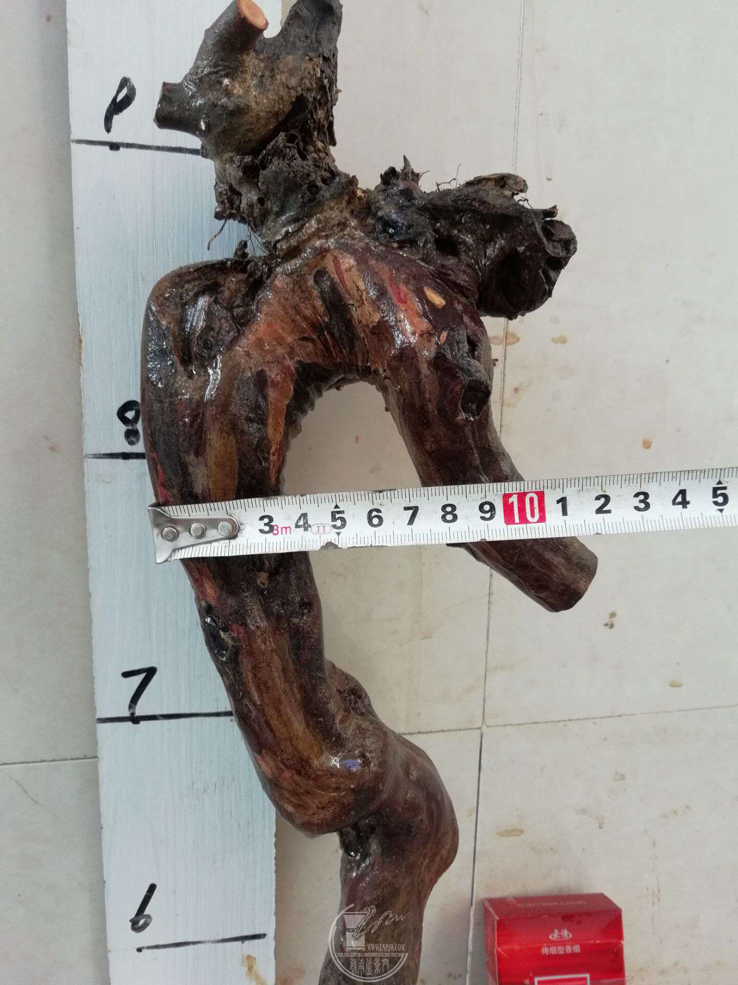 QQͼƬ20180409203730.jpg