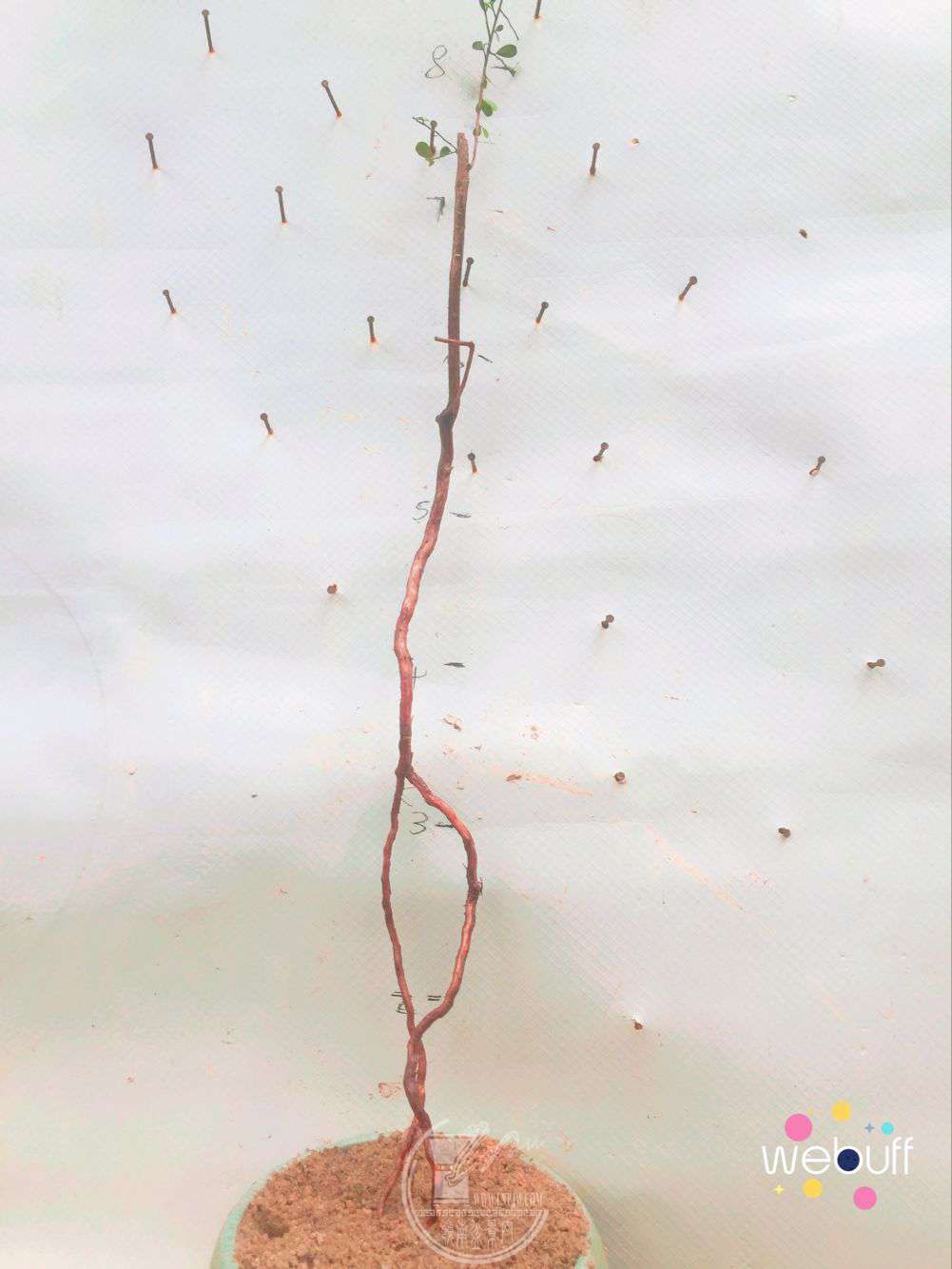 QQͼƬ20180412102447.jpg