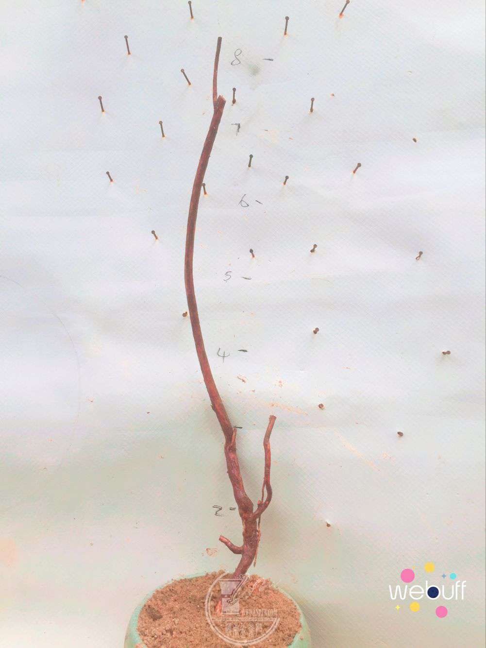 QQͼƬ20180412105936.jpg