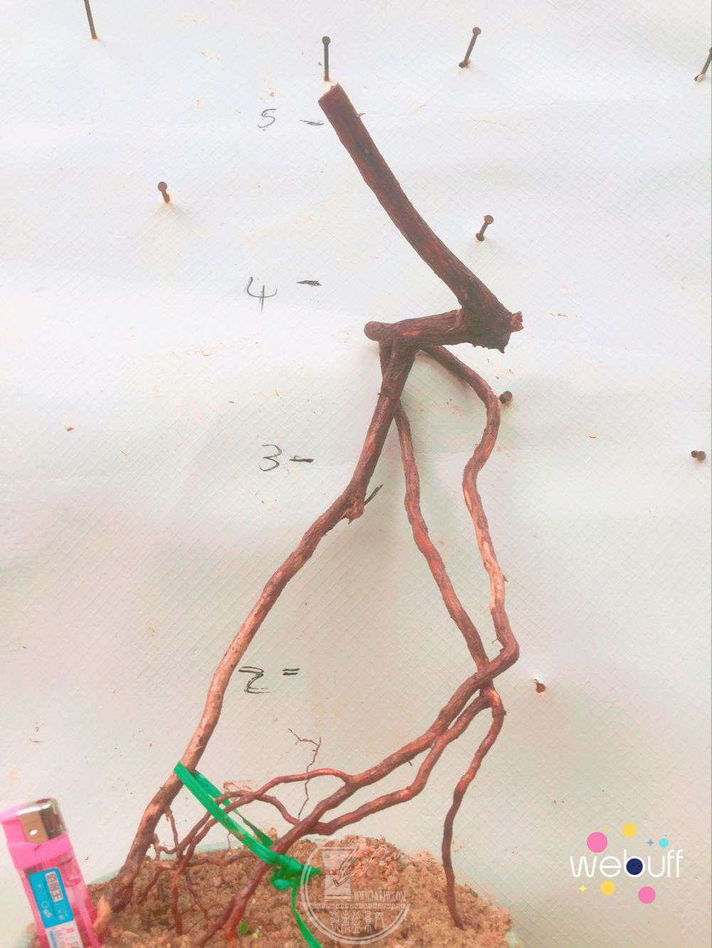 QQͼƬ20180412113612.jpg