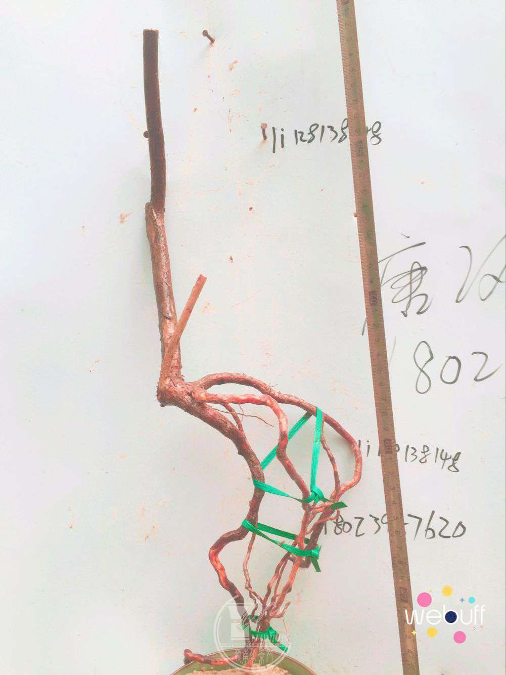 QQͼƬ20180413211110.jpg