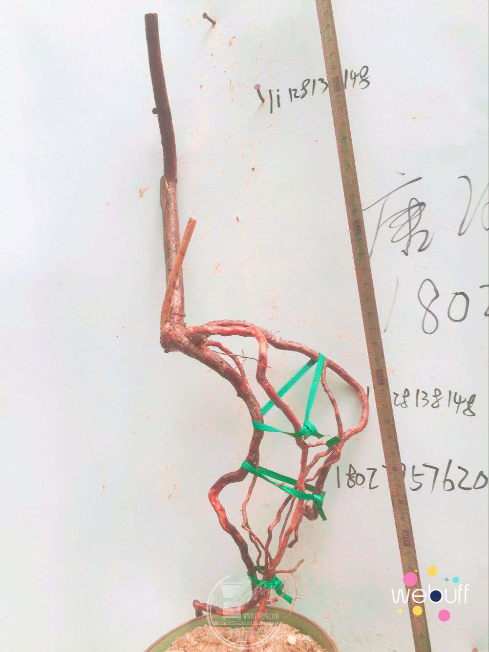 QQͼƬ20180413211113.jpg