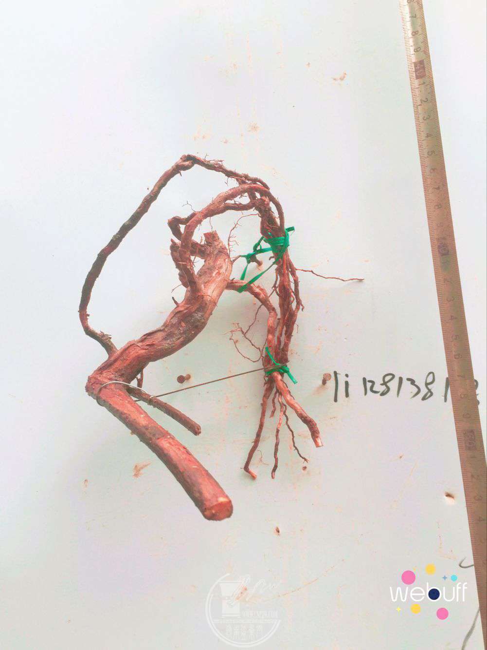 QQͼƬ20180413211552.jpg