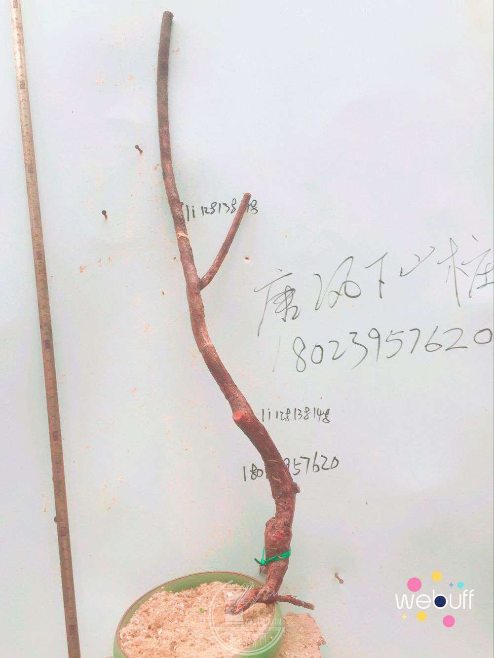 QQͼƬ20180413213039.jpg