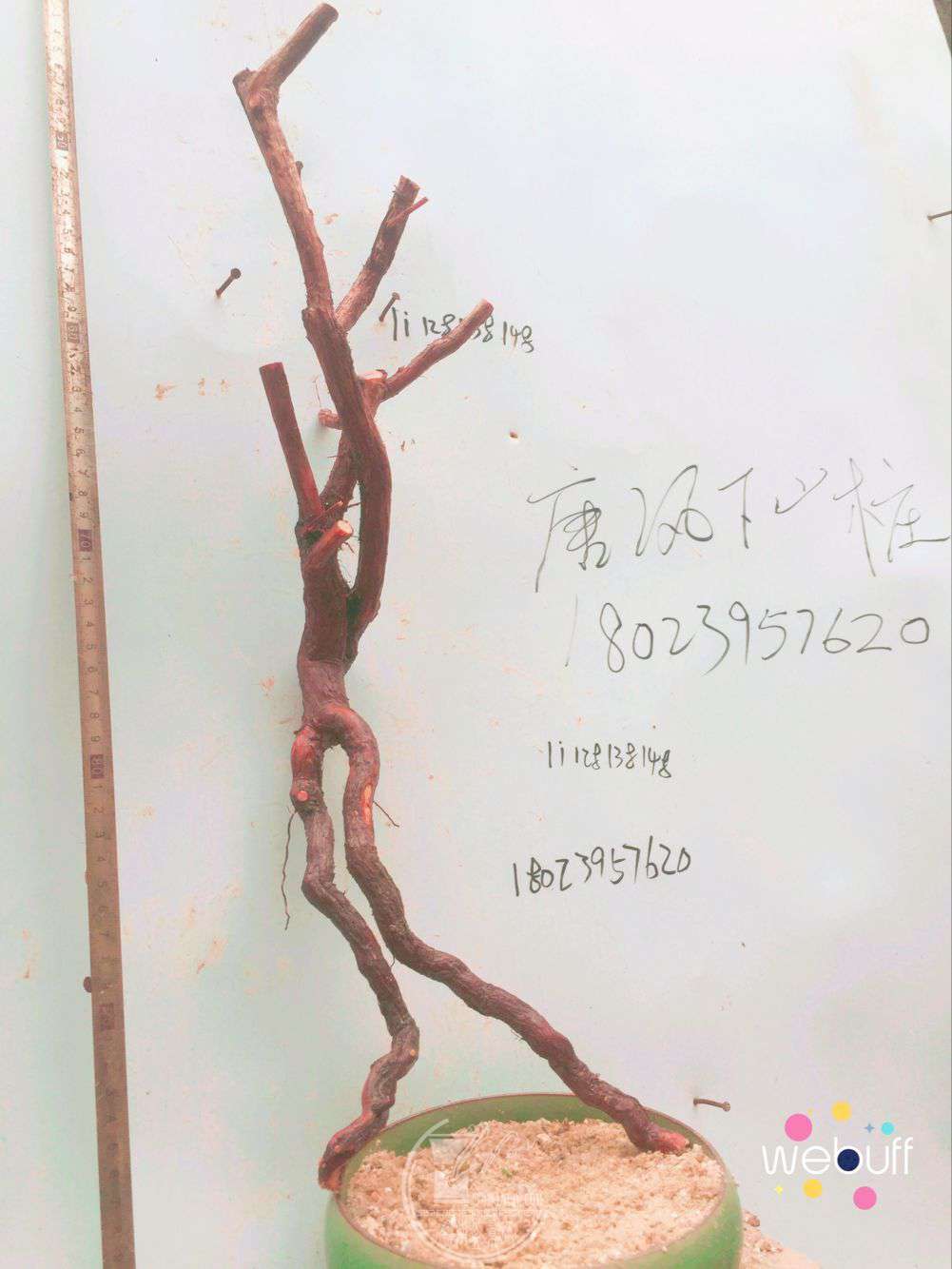 QQͼƬ20180413215028.jpg