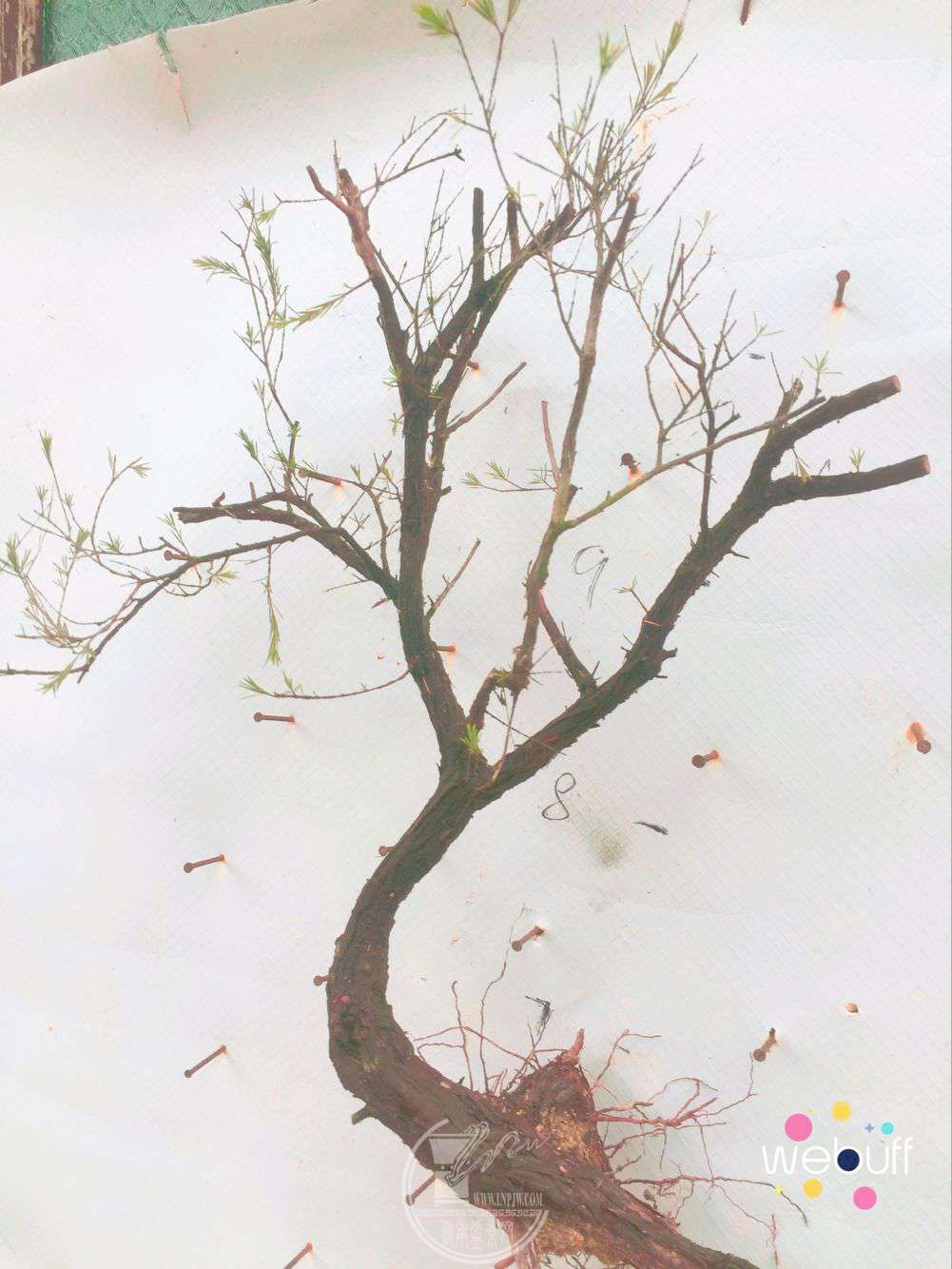 QQͼƬ20180415085726.jpg