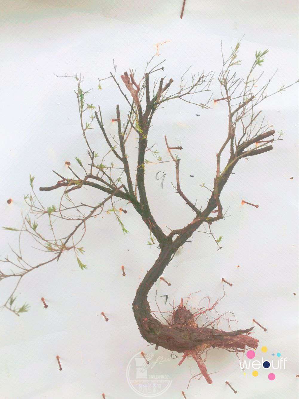 QQͼƬ20180415085733.jpg