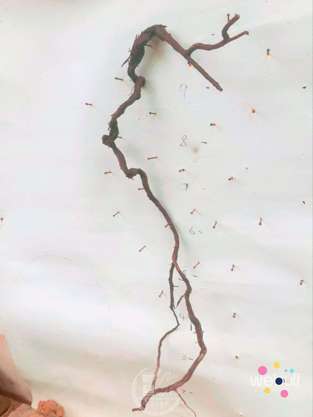 QQͼƬ20180415090457.jpg