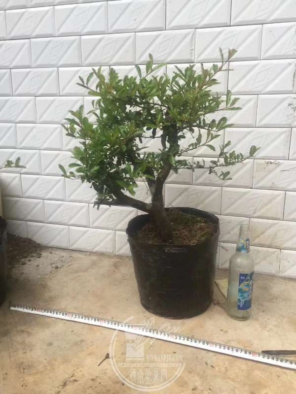 935865
